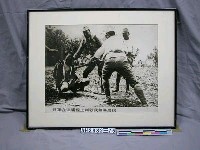 藏品(紀念抗日戰爭相關照片—日軍在津浦線上刺殺我無辜農民（翻拍）)的圖片